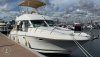 PRESTIGE 36